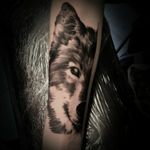 Wolf #tattooapprentice #blackandgreytattoo #realism #realistictattoo #girlswithtattoos #Tattoodo #France #Paris #naokotattoo #blackandgrey #realistic #wolftattoo 