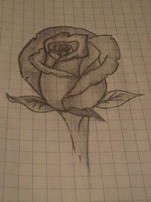 #rose  #flower #drawn 