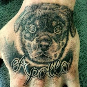 #handtattoo #realism #realistictattoo #dog #portrait #lettering #blackandgrey #blackandgreytattoo #intenzetattooink #zuperblack #bishoprotary #fadetheitch #ink #inked #inkedguy #tattoo #tattooist #tattooartist #artist #tattoooftheday #france #thomtats7 