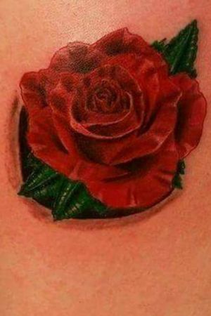 Red rose/floral realism 