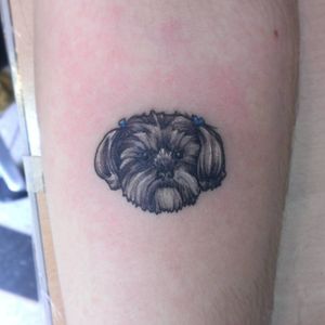 Tattoo by @Samfarfan #tattoo #tatuaje #smalltattoos #smalltattoo #yorkshire #terrier #dogtattoo #dogportrait #puppyportrait #puppy #dog #perro #petportrait #pet #blacktattoo #blacktattooart #venezuela #madrid #spain #ink #blackinktattoo #blackink #latina #tattooartist 