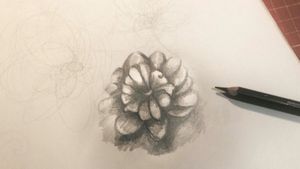 Draw and Flowers"Progress"