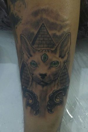#tattoo #tattoopretoecinza #realismo #realismotatto #blackandgreytattoo #tattoos #finelinetattoo #tattooja#sphinx #tattoosphinx #tattoosphinxcat