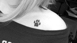 Real pawprint of my cat