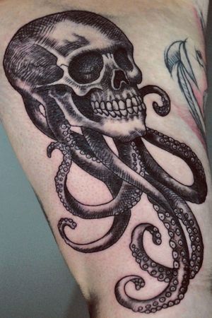 Octopus! 🐙