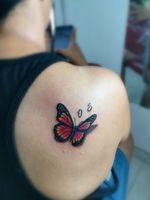 Mariposa monarca realismo color 