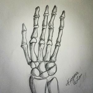 Drawn skeleton hand