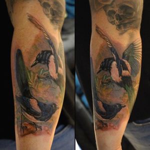 Nesting Magpies. Placement - Forearm (outer). #magpietattoo #naturetattoo #realismtattoo #realistic #tattoooftheday #colourtattoo 