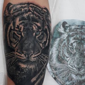 Tattoo by Anderson tattoo Studio