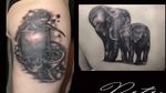 Black & grey realism elephants & turtles #blackandgreytattoo #blackandgreytattoo #realism #elephants #elephanttattoo #turtles #turtletattoo #mumanddaughter #MotherandChildTattoo #nature #animaltattoo 