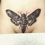 Death moth on pubis #deathmoth #deathmothtattoos #womenwithtattoos #girlswithtattoos #inkedgirl #pubic #blackandgrey #blackandgreytattoo 