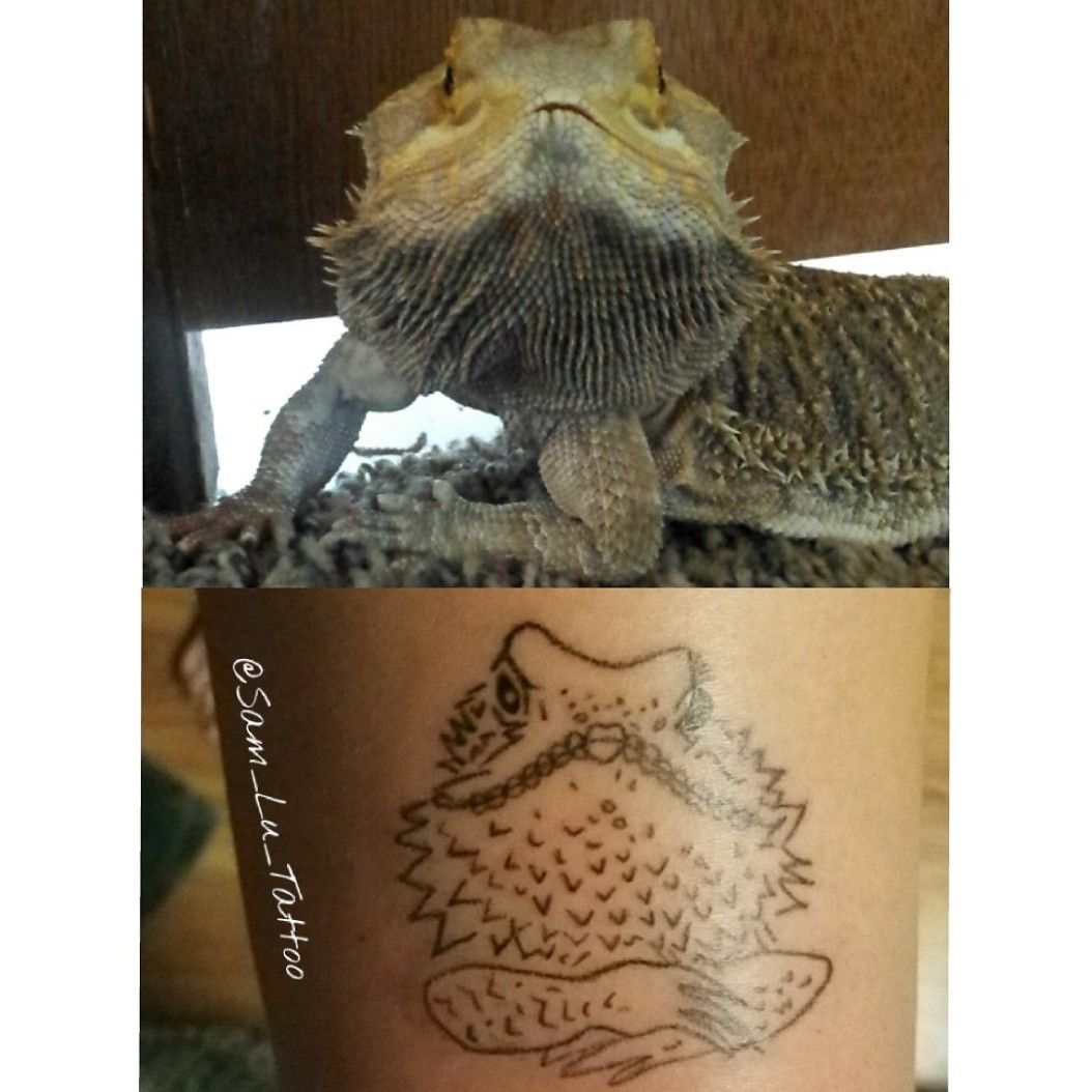 The Reptile Report  Bearded dragon tattoo submitted by Vozi Bonzi Tatto  by Nicklas Westin Tattoo Artist The Reptile Report is made possible by  ShipYourReptilescom  Facebook