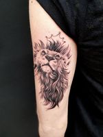 Cool lion design based on clients idea. Done completely using 3rl 🦁