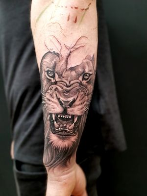First session on a new wildlife sleeve 🦁