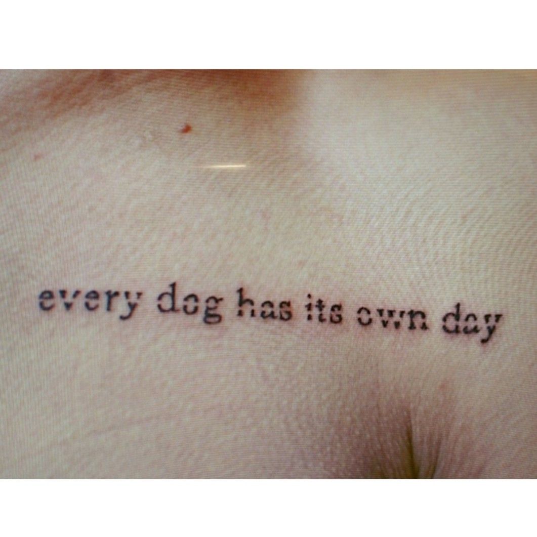 what do every dog has his day mean
