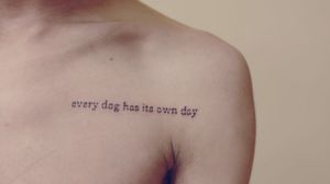"every dog has its own day."
