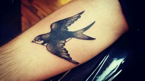 B&G trad. swallow #tattoo #oslo #norway #werkentattoostudio @andre_werken_tattoo