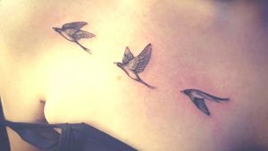 Black and grey birds, small scale.#tattoo #oslo #norway #werkentattoostudio @andre_werken_tattoo