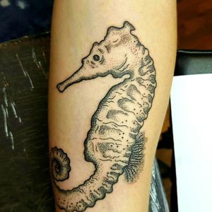 Dotwork Seahorse for Ida! ☺🌊🐎⚓#tattoo #oslo #norway #werkentattoostudio @andre_werken_tattoo