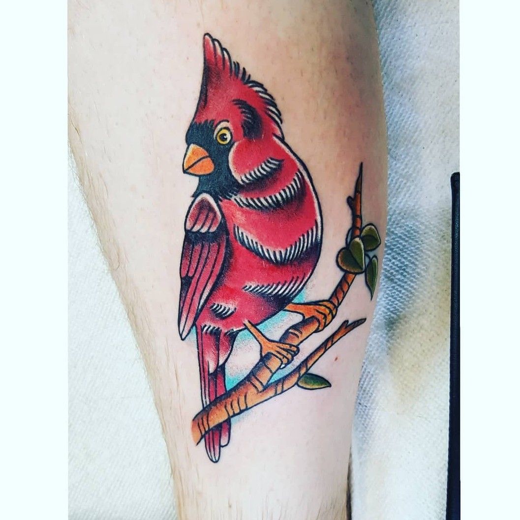Fine Line Cardinal Temporary Tattoo  Set of 3  Tatteco