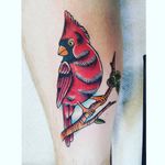 Cardinal🐦 #nc #cardinal #cardinaltattoo #Statebird #red #birdtattoo #birds #bird 