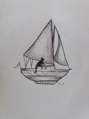 Cat on a boat design
