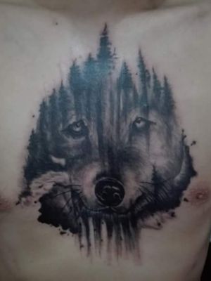 My next tattoo is a wolf tattoo... Looking for artist near Dallas TX that are able to do this that are reasonable priced. Any suggestions?!