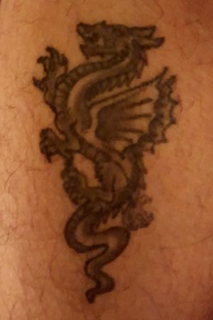Dragon on my left leg.