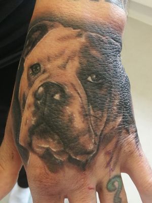 Bruce the bulldog! #blackandgrey #bulldog #portrait #handtattoo 