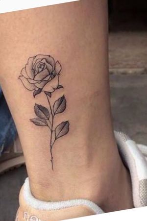 Ankle rose