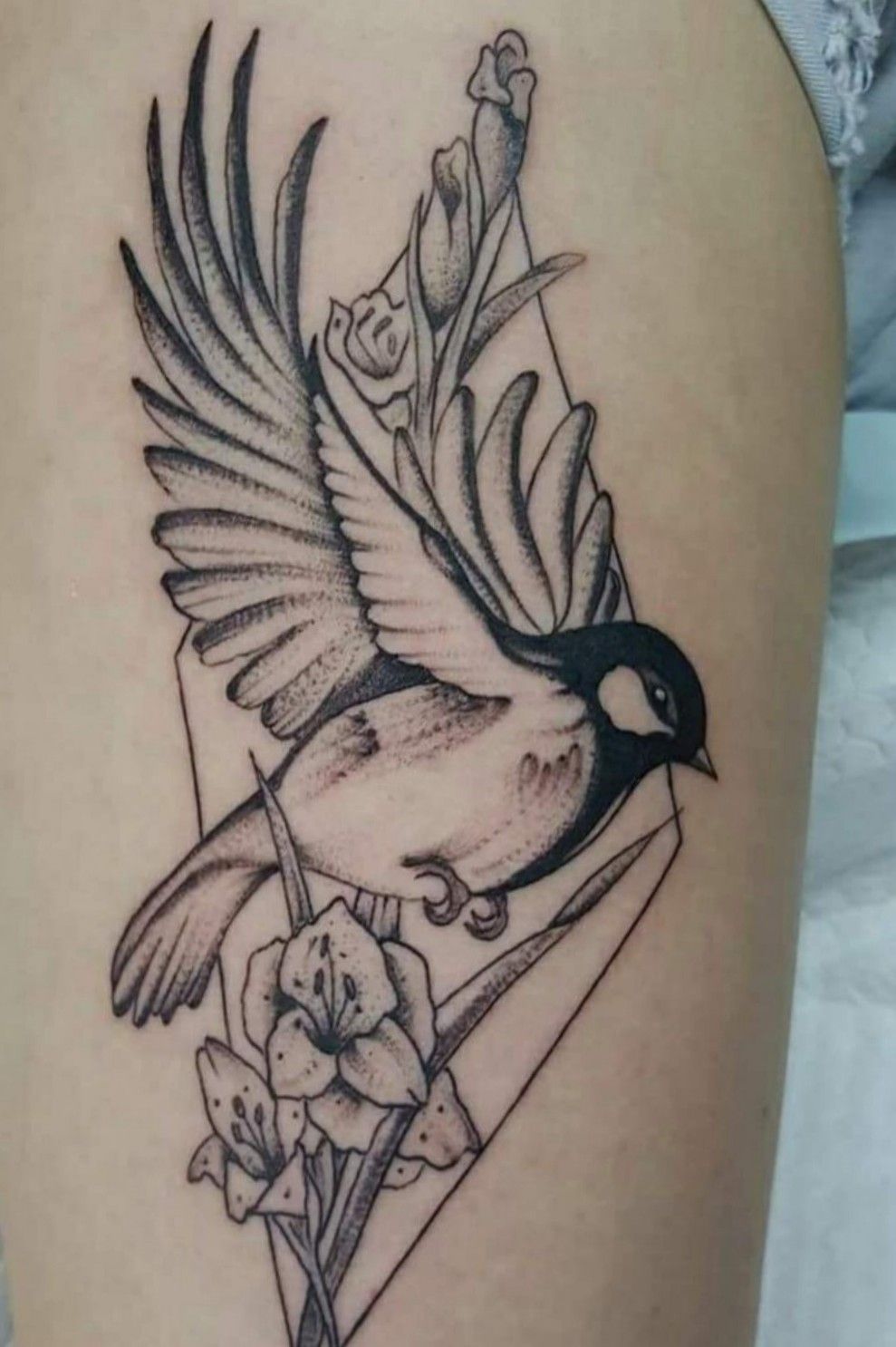 healed Chunky little robin Done by the amazing Amélie  cult of the bear  studio Oxford UK  rtattoos