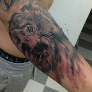 Tattoo Wolf Black and Grey.