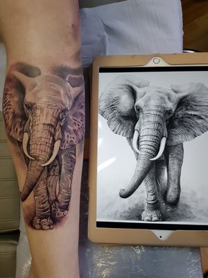 Elephant tattoo on shin #elephant #tattoo #blackandgrey  