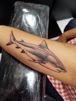 Tiburón Blanco Tatuaje realizado en nuestra sucursal Av. Corregidora #160 Centro por Oswel Sanchez. Estamos de 11 am a 8pm Lunes a Viernes y el Sábado de 11 am a 6pm. Los esperamos.