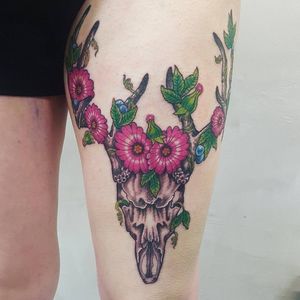 Stag skull. 8 hour sit in 1 sesh