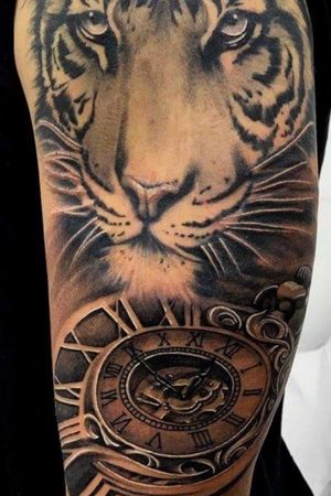 Tiger and watch