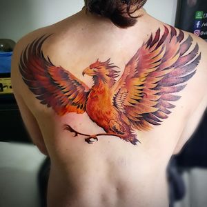 Mais uma etapa.  Agora falta pouco. #tattoo #tatuagem #arte #art #phoenix #feathers #fire 