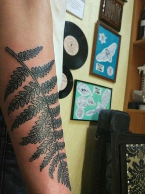 🌿 папоротничек D_krumm_tattoos #Kyiv #Krumm #Tattoo #KRUMMTattoо #D_Krumm #linework #tattooartist #tattoosketch #tattoo #tatts #tattoos #tattooed #tattooart #tattooartist #tattoowork #leaf #fern #plant #hand
