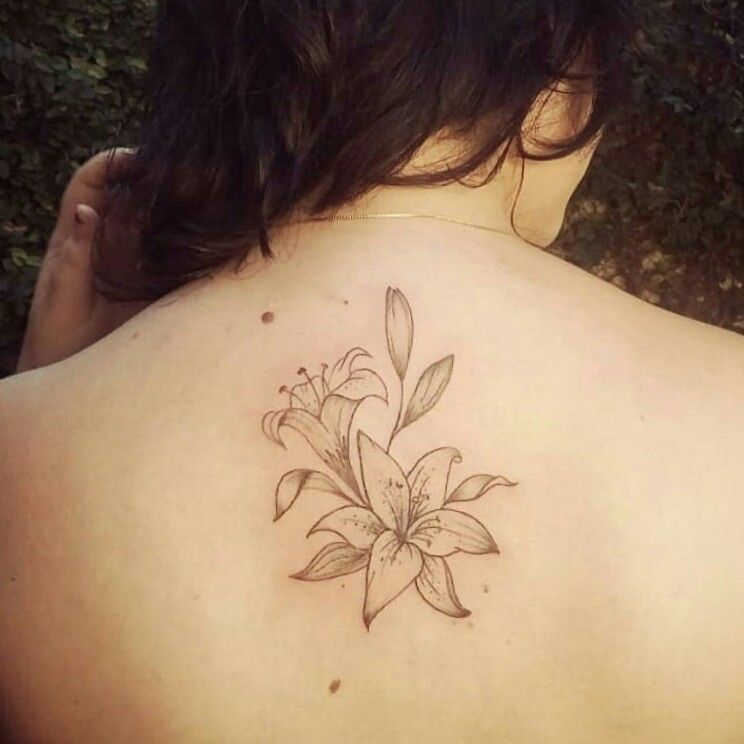 Tattoo uploaded by Aurora Beatriz • #lily #lirio #lis #lilium #lilie  #Giglio #flower #flor #Fiore #Fleury #bunch #bouquet #mazzo #natural  #natürlich #naturale #naturel #fleur #tatouage #tattoo #tatuagem #tatuaje  #tatuaggio #tattoodo #tattoo2me ...