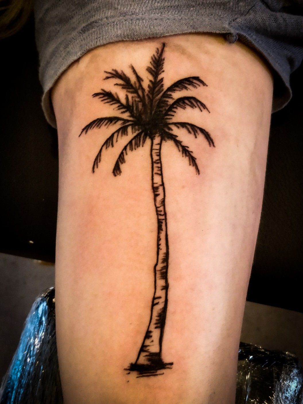 Top 79 palm tree tattoo latest  thtantai2