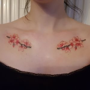 cherry blossoms on my chest 