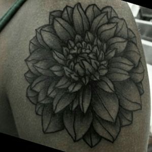 @dans.tattoo#dhalia #flowertattoo #flower #blackwork #tattoo #tatted 