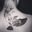 Men tattoo