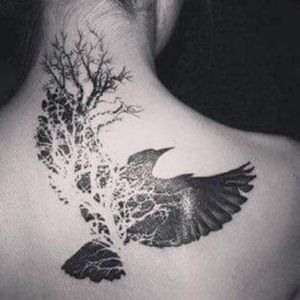 Bird. #nature  #bird  #tree  #blackandgrey  #neck  