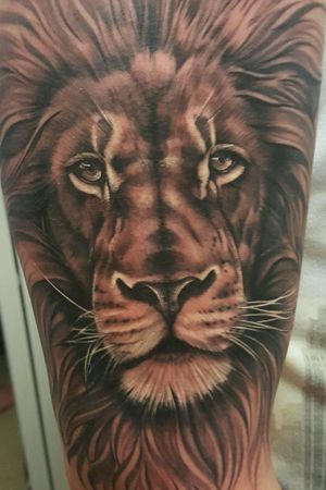 Lion tattoo #blackandgrey #lion #sleeve #wildlife