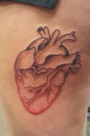 Anatomical Heart by Megan M at Canvas Tattoo in Eden Prairie MN
