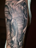 Elephant Tattoo #elephant #elephanttattoo #elephants #blackandgreytattoo #blackandgrey #wildlife #animaltattoo #animals #animal #african #Africa 