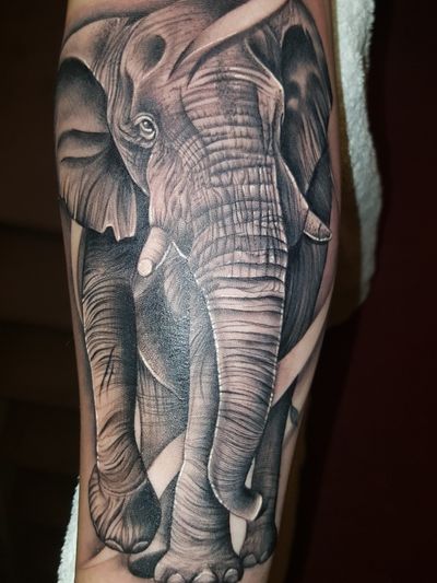 Explore the 14 Best Elephant Tattoo Ideas (April 2018) • Tattoodo