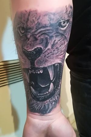 🦁🦁🦁 #lion #liontattoo #tattoo #tattooart #tattooartist #zeksudin