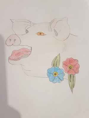 Cochon 🇫🇷 #Création